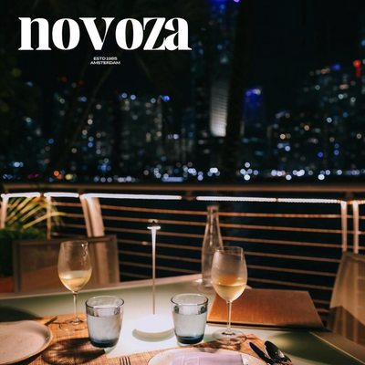 Restaurant Decor Point Lamp - novoza