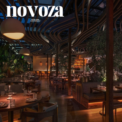 Restaurant Decor Point Lamp - novoza
